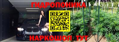 индика Тара