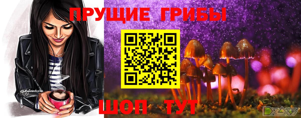 Галлюциногенные грибы GOLDEN TEACHER  Вход с VPN  Медногорск 
