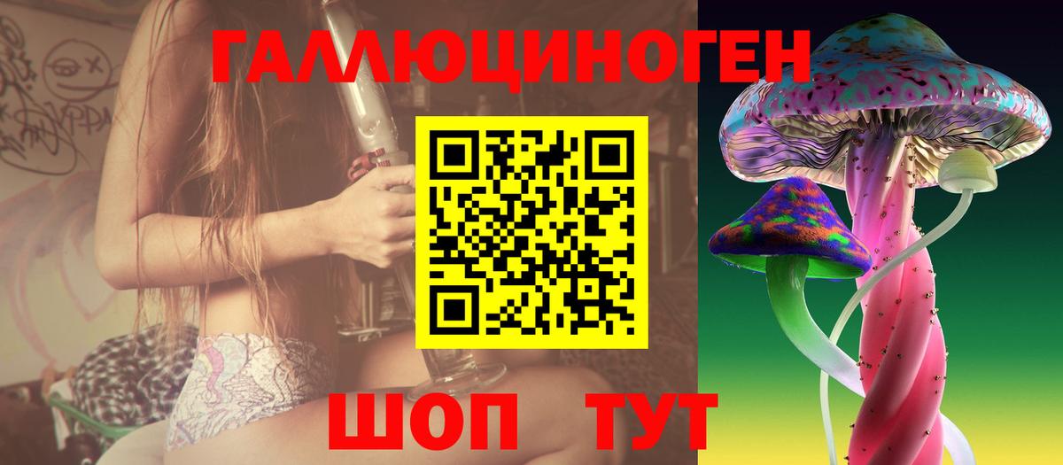 Галлюциногенные грибы Cubensis Медногорск